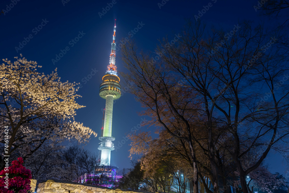 Obraz premium Spring on Namsan Mountain and cherry trees in Seoul, South Korea.