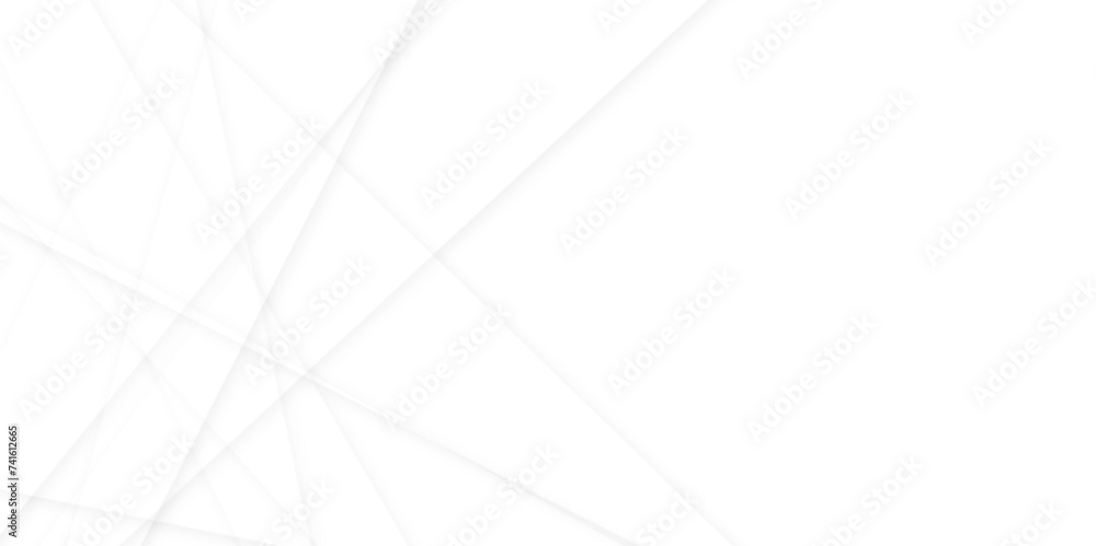 white and grey background. space design concept. With layers of textured white transparent material in triangle and squares shapes color technology concept geometric line vector background.
white and grey background. space design concept. With layers of textured white transparent material in triangle and squares shapes color technology concept geometric line vector background.