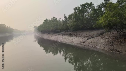 4K UHD video footage of the Sundarbans mangrove forest in a foggy winter morning photo