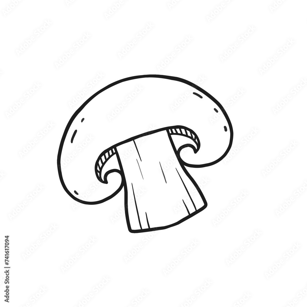 vector illustration of mushroom Champignon vector illustration of mushroom Champignon