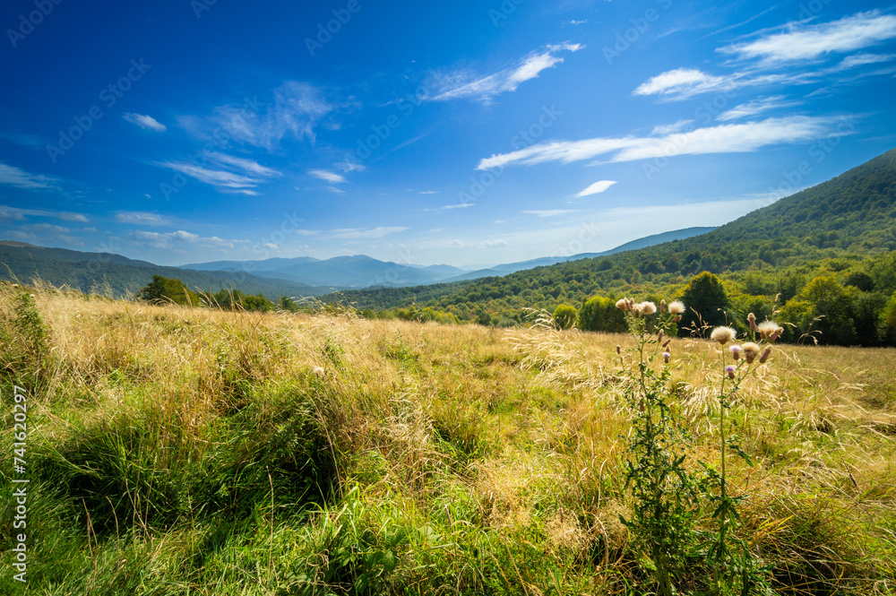 Beautiful mountain landscape, mountain meadow, mountain view with blue sky, near Wyznianski Wierch, Bieszczady Natioanal Park, Carpathians, Poland.