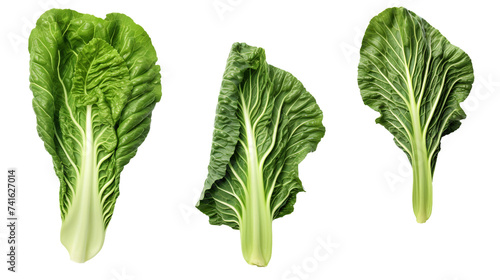 Collard Greens Harvested from the Garden, Organic Vegetable PNG Isolated on Transparent Background