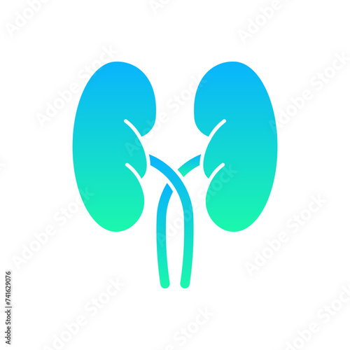 Kidneys Flat Gradient Style