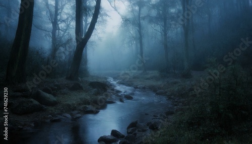 misty morning in the forest stream