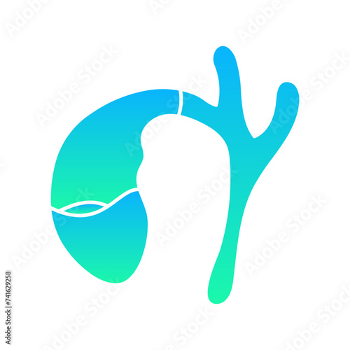 Gallbladder Flat Gradient Style