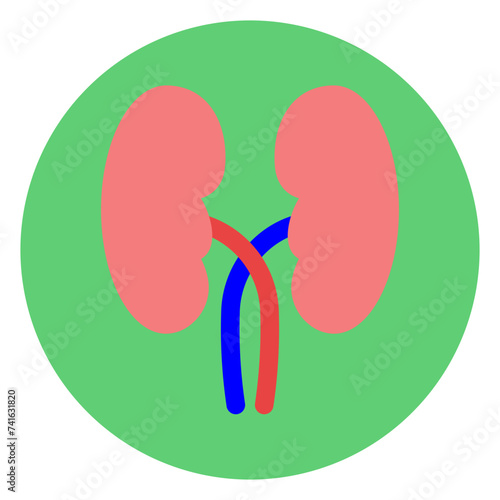 Kidneys Block Style