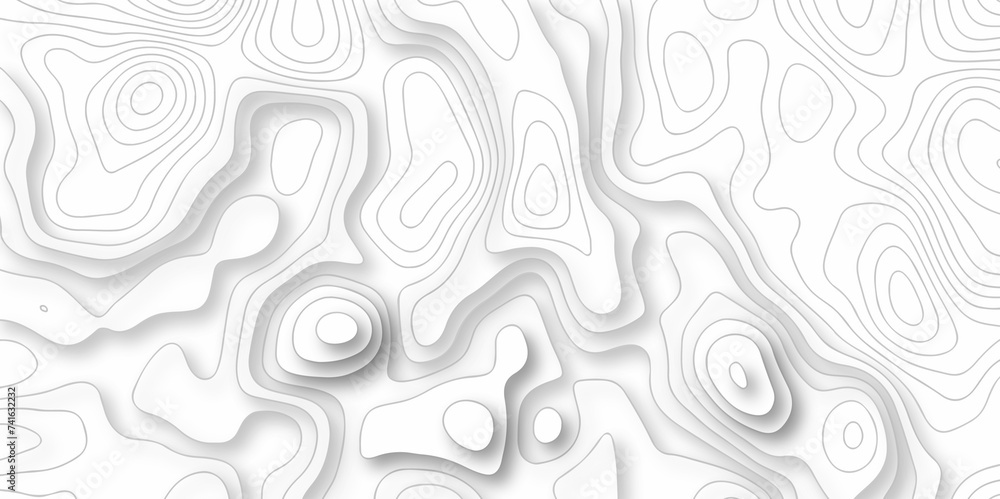 The stylized height of the topographic map in contour, lines. Topography and geography map grid abstract backdrop. creative cartography illustration. Black and white landscape geographic pattern.