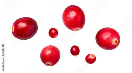 Cranberry Collection: Juicy, Fresh, and Colorful Isolated Berries for Graphic Design, Food Illustrations, and Autumnal Themes - PNG 3D Digital Art on Transparent Background