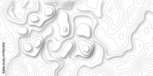 The stylized height of the topographic map in contour, lines. Topography and geography map grid abstract backdrop. creative cartography illustration. Black and white landscape geographic pattern.