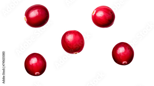 Cranberry Collection: Juicy, Fresh, and Colorful Isolated Berries for Graphic Design, Food Illustrations, and Autumnal Themes - PNG 3D Digital Art on Transparent Background