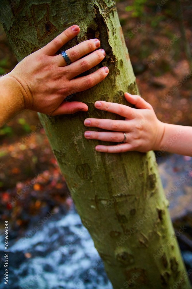 Family Connection with Nature - Gently Touching Tree Trunk