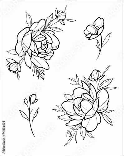 hand drawn peony flower Vector SVG linework photo