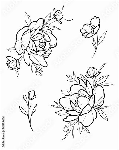 hand drawn peony flower Vector SVG linework