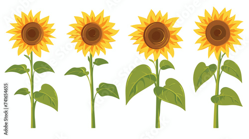 Sunflower set. Four yellow sun flower icon. Cute