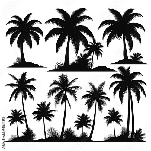 vector black palm icon on white background 