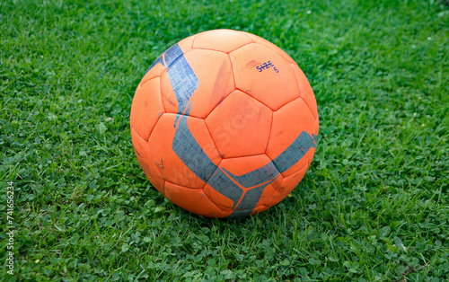 soccer ball on grass