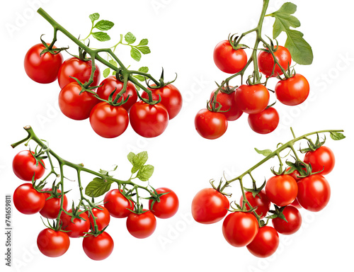 Set of fresh delicious tomatoes with leaves, cut out