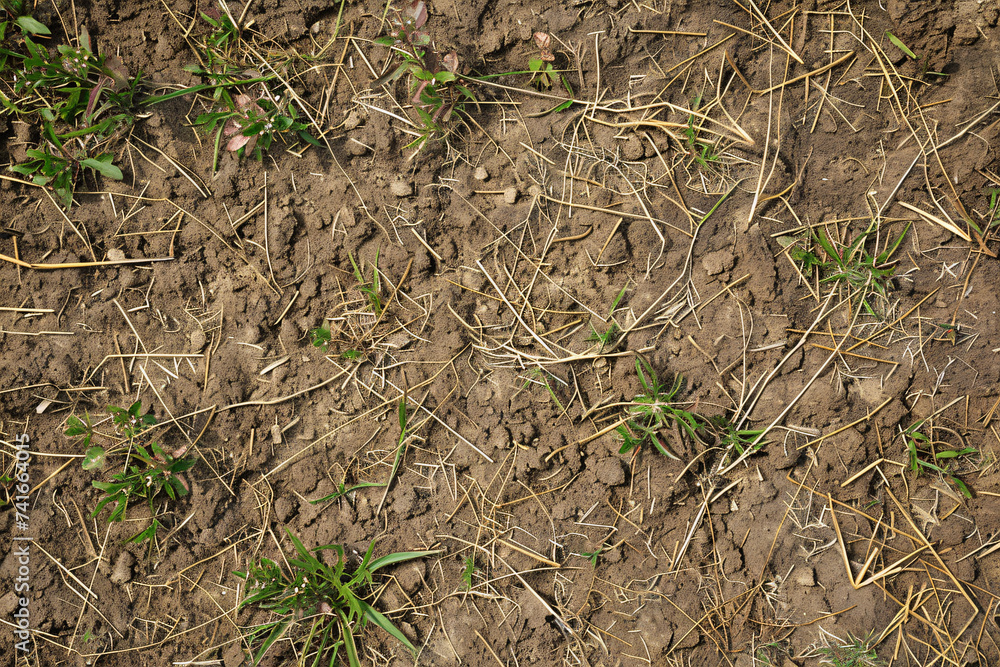 ground texture background pattern ground texture background pattern