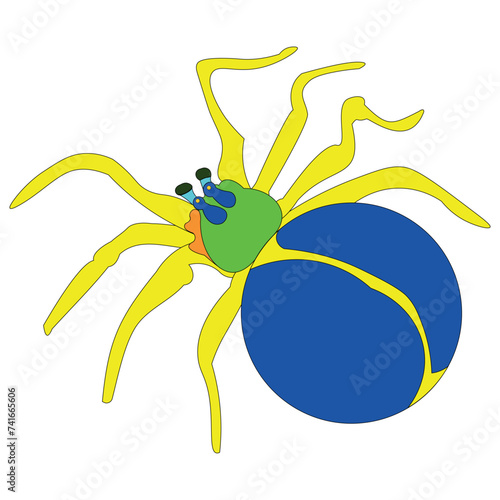 The poisonous spider spread out its eight legs. The insect is drawn from above, where its body parts are clearly shown.
