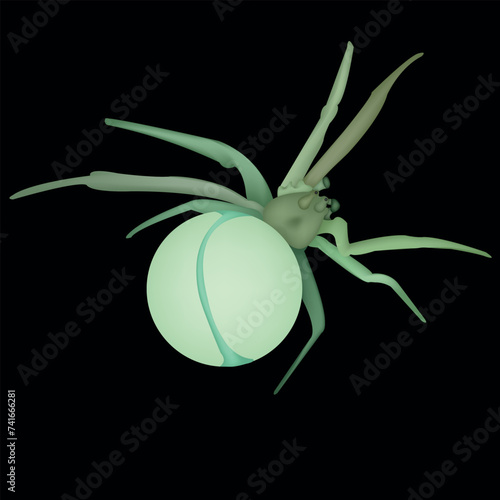 The poisonous spider spread out its eight legs. The insect is drawn from above, where its body parts are clearly shown.