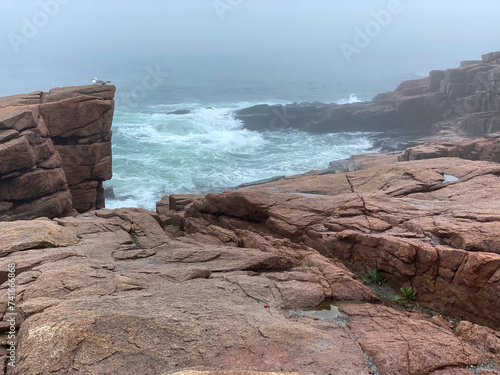 Thunder Hole, Acadia National Park, Maine. Foggy, rainy natural rock inlet where waves crash. Emerald Atlantic Ocean waves on red granite rocks, ocean cliffs.  photo