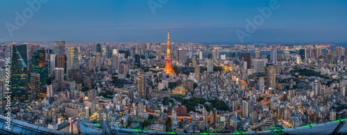 Aerial view of the Tokyo Tower in Tokyo downtown at night, Kanto region, Japan.