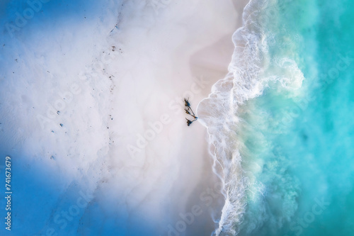 Aerial view of a white sandy beach with a piece of kelp lying on the shore surrounded by shadows and the ocean lapping onto shore, Cape Town, Western Cape, South Africa. photo