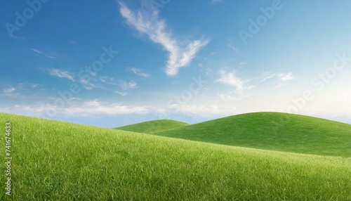 Landscape view of green grass field with blue sky background. © adobedesigner
