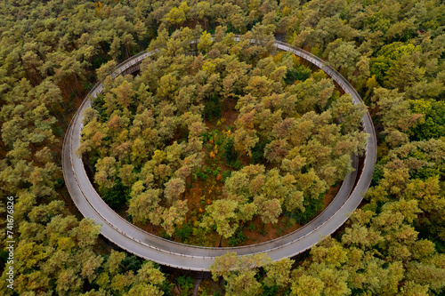 Aerial drone view of Fietsen door de Bomen, a walking and cycling path in the trees, Hechtel-Eksel, Limburg, Belgium. photo