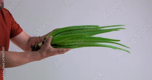  video of aloe vera being cut and chopped on wooden chopping board and washed in water