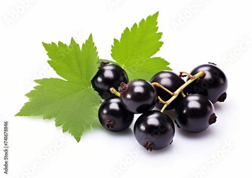 Black currant berries with green leaves isolated on white background cutout