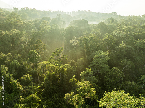 Aerial View of sun rays shining over jungle canopy on a bright sunny morning in Halmahera, Indonesia. photo