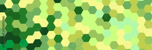 Seamless pastel green geometric hexagon pattern. vector