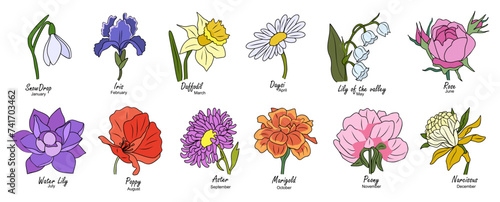 Botanical set of floral plants. Gorgeous snowdrop, daffodil, iris, aster, peony, poppy, marigold, rose, water lily flowers isolated. Colorful vector art illustration, birth month flower isolated.