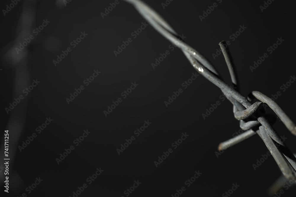 Obraz premium Metal barbed wire on dark grey background, closeup. Space for text