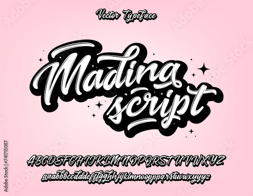Vector hand drawn alphabet. Brush painted letters. Handwritten script alphabet. Hand lettering and custom typography for your designs: logo, for posters, invitations, cards, etc. Vector type.