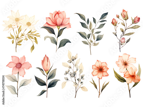 A set of Pink watercolor flowers and leaves clipart on white background