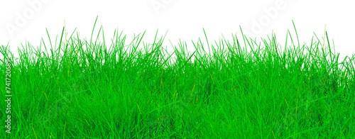 Fresh tall green grass field lawn isolated on white background