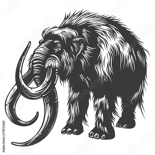 silhouette mammoth the ancient mythical prehistoric creatures black color only