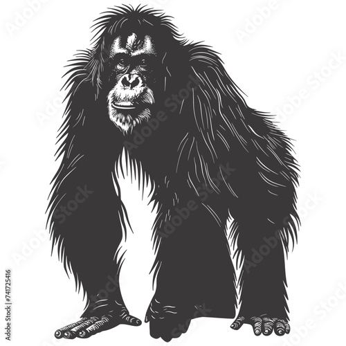 silhouette orang utan animal full body black color only