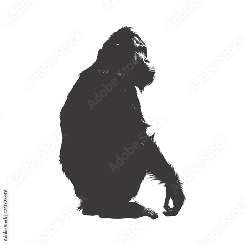 silhouette orang utan animal full body black color only