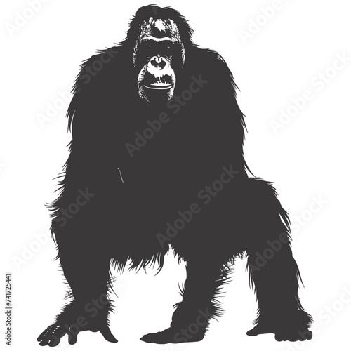 silhouette orang utan animal full body black color only
