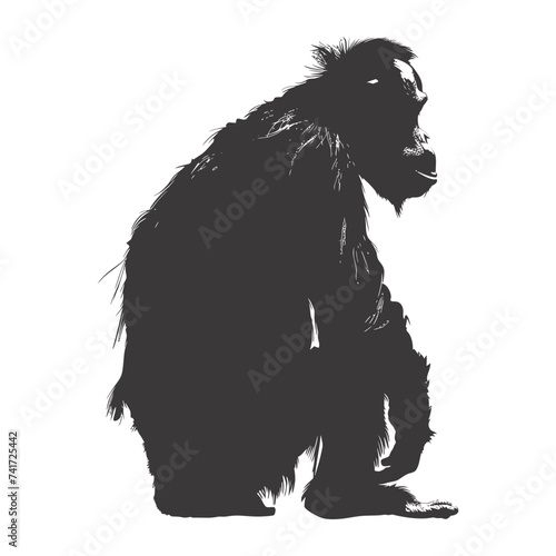 silhouette orang utan animal full body black color only