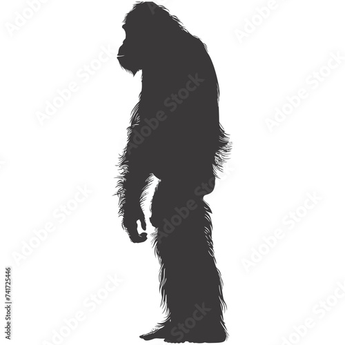 silhouette orang utan animal full body black color only