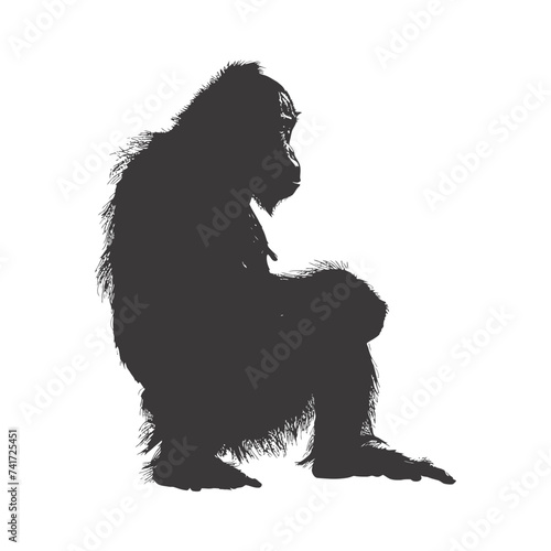 silhouette orang utan animal full body black color only