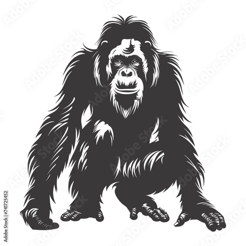 silhouette orang utan animal full body black color only