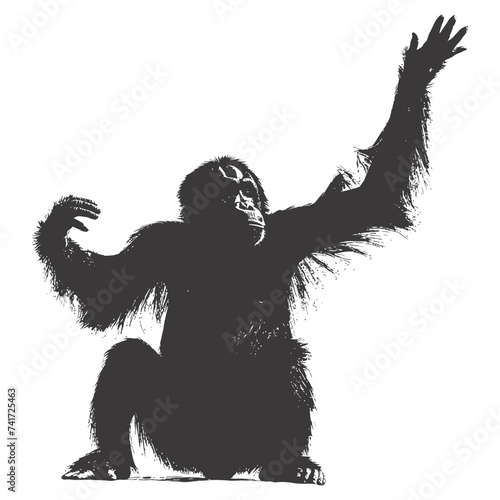 silhouette orang utan animal full body black color only