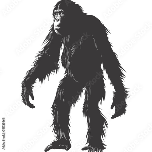 silhouette orang utan animal full body black color only