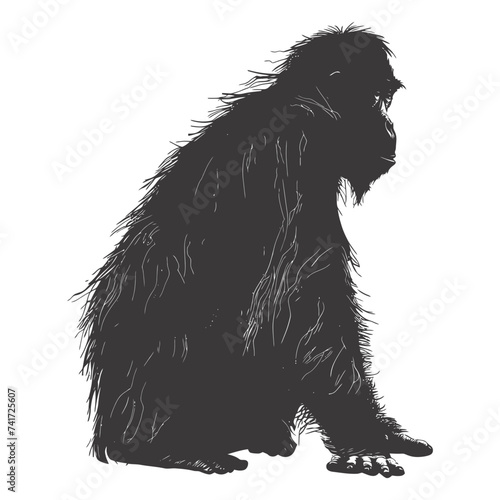 silhouette orang utan animal full body black color only