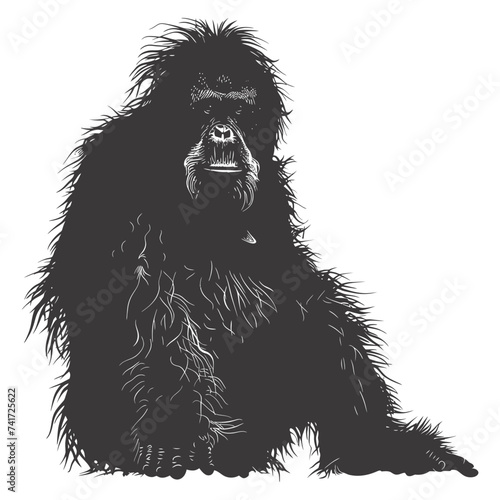 silhouette orang utan animal full body black color only
